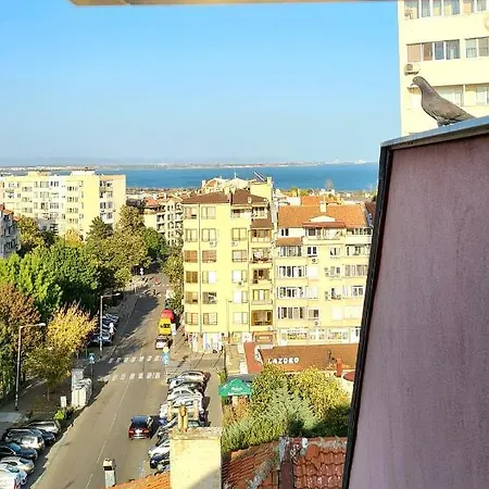 Sea Vibes With Great Terrace And Sea View *